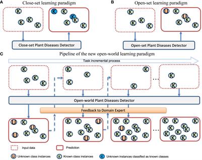 A New Deep Learning-based Dynamic Paradigm Towards Open-World Plant Disease Detection